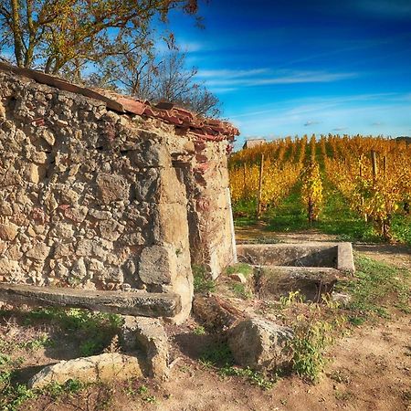 Condrieu Comme A La Maison Exterior photo